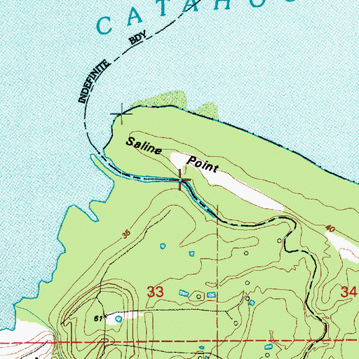 Topographic Map of Saline Point, LA
