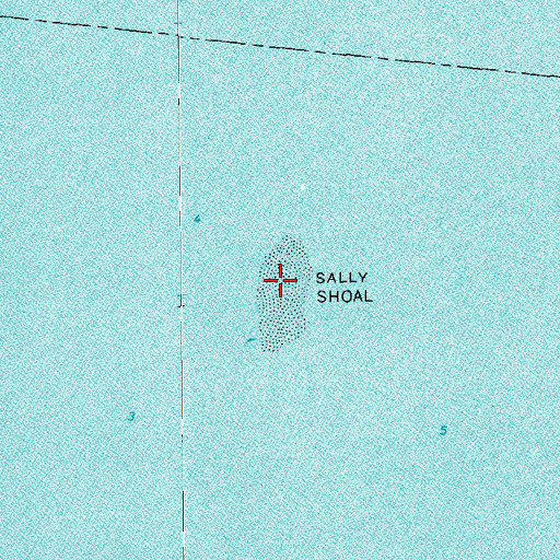 Topographic Map of Sally Shoal, LA