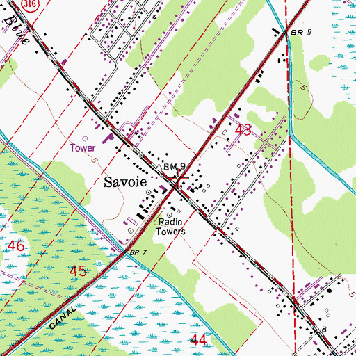 Topographic Map of Savoie, LA