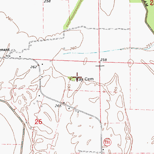 Topographic Map of Ray Cemetery, AR