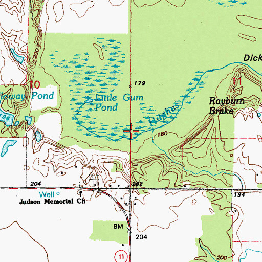 Topographic Map of Rayburn Brake, AR