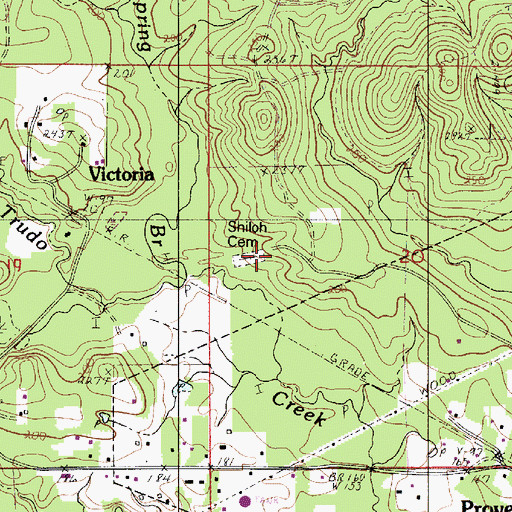 Topographic Map of Shiloh Cemetery, LA
