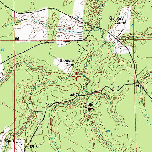 Topographic Map of Slocum Cemetery, LA