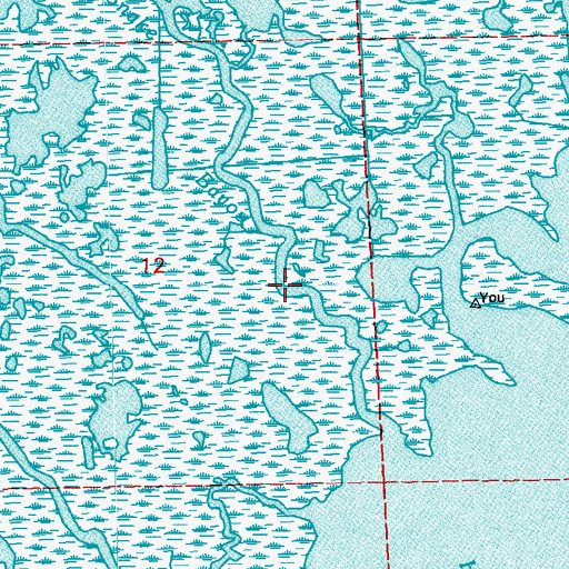 Topographic Map of Snake Bayou, LA