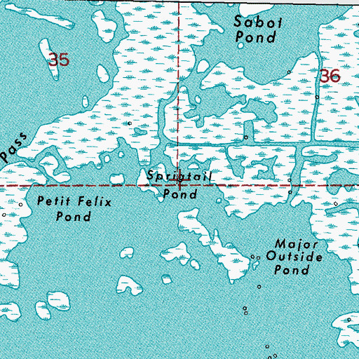 Topographic Map of Sprigtail Pond, LA