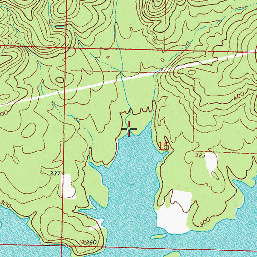 Topographic Map of Reece Creek, AR