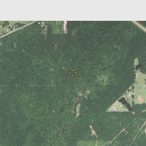 Aerial/Satellite Image of Teague Branch, LA