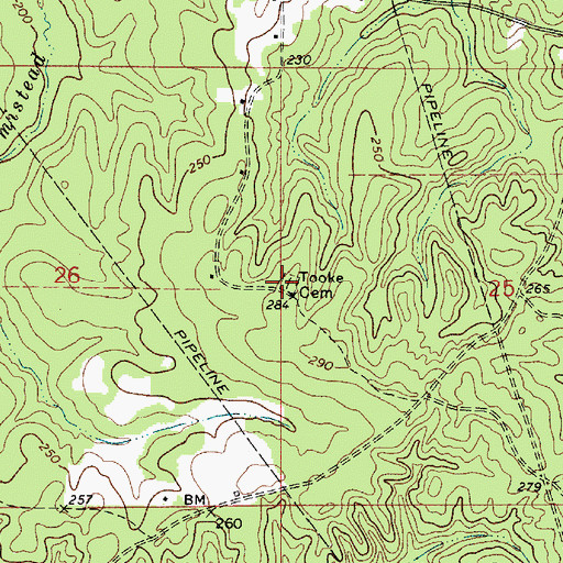 Topographic Map of Tooke Cemetery, LA
