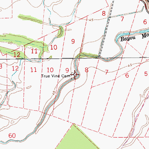 Topographic Map of True Vine Cemetery, LA