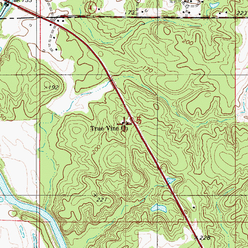 Topographic Map of True Vine Church, LA