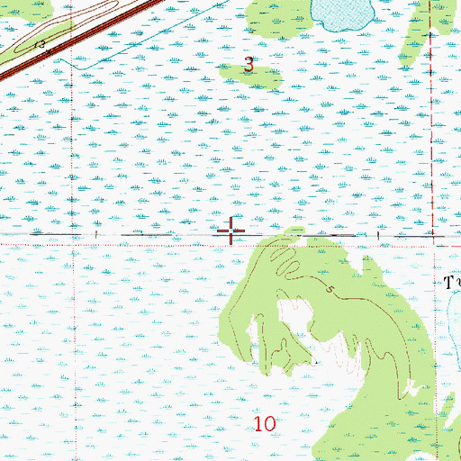 Topographic Map of Tupelo Swamp, LA