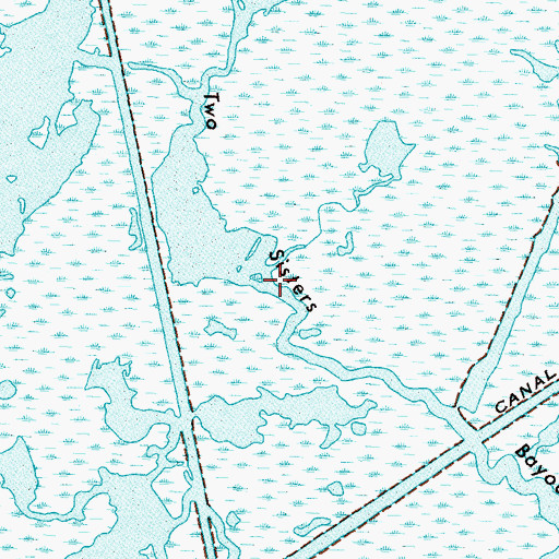 Topographic Map of Two Sisters Bayou, LA