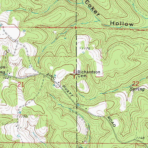 Topographic Map of Richardson Cemetery, AR