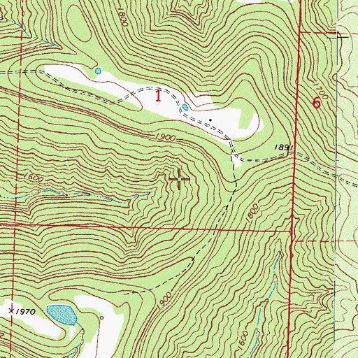 Topographic Map of Richardson Hollow, AR