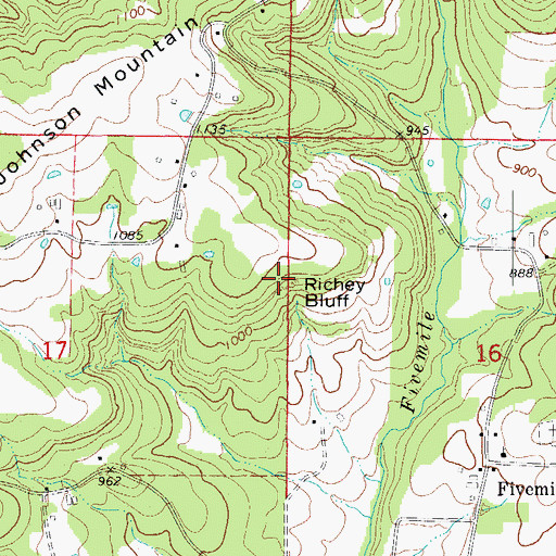 Topographic Map of Richey Bluff, AR