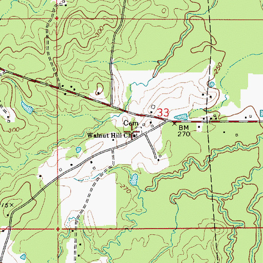 Topographic Map of Walnut Hill Church, LA