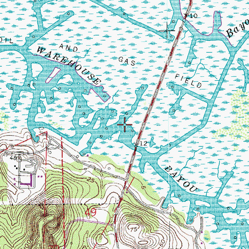 Topographic Map of Warehouse Bayou, LA