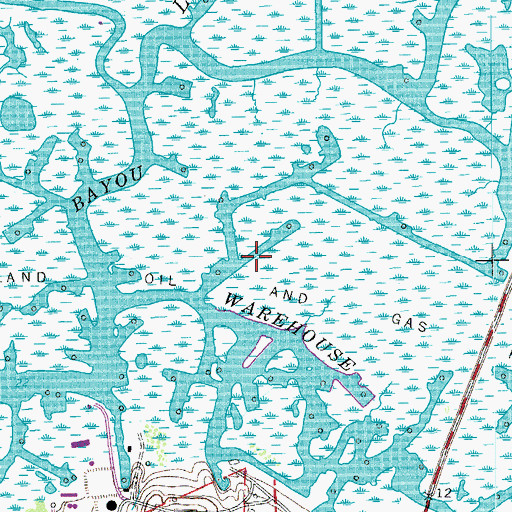 Topographic Map of Weeks Island Oil and Gas Field, LA