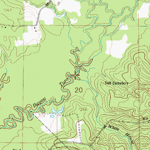 Topographic Map of White House Branch, LA