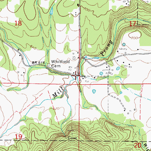 Topographic Map of Ripley Hollow, AR