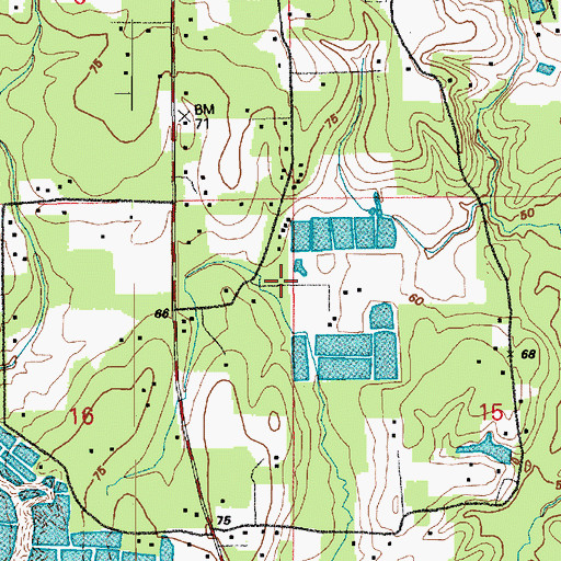 Topographic Map of World Harvest Tabernacle, LA