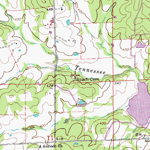 Topographic Map of Roach Cemetery, AR
