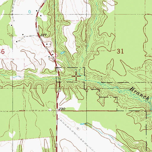 Topographic Map of Young Branch, LA