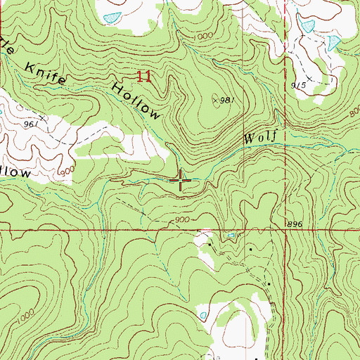 Topographic Map of Road Branch Hollow, AR