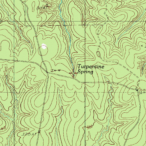 Topographic Map of Turpentine Spring, LA