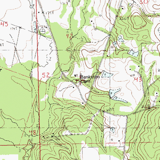 Topographic Map of Bankston Cemetery, LA