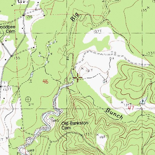 Topographic Map of Bunch Branch, LA