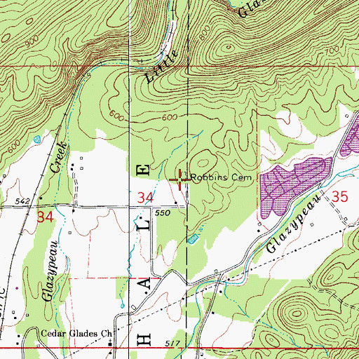 Topographic Map of Robbins Cemetery, AR
