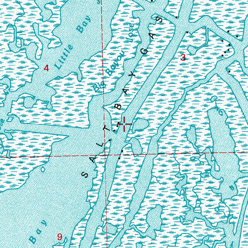 Topographic Map of Bayou Sale, LA