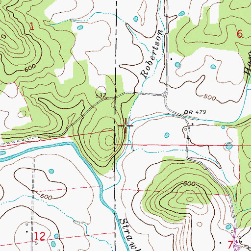 Topographic Map of Robertson Branch, AR