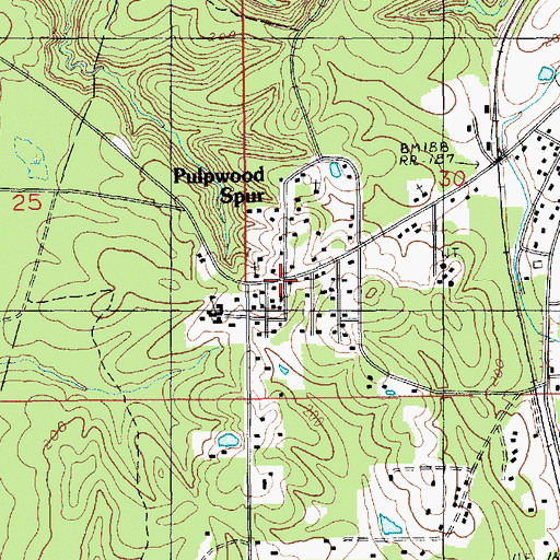 Topographic Map of Pulpwood Spur, LA