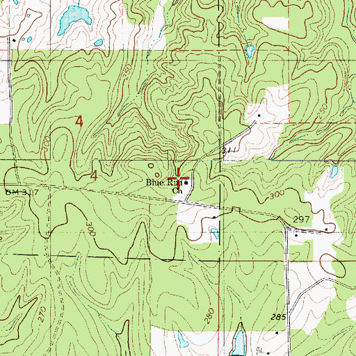Topographic Map of Blue Run Church, LA