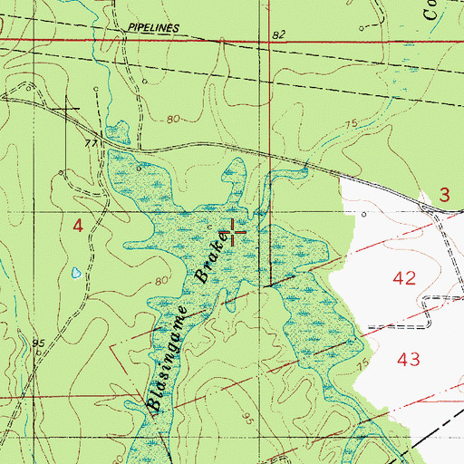 Topographic Map of Blasingame Brake, LA