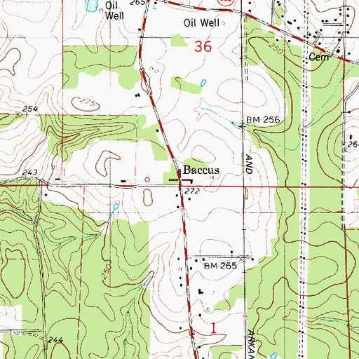 Topographic Map of Baccus, LA