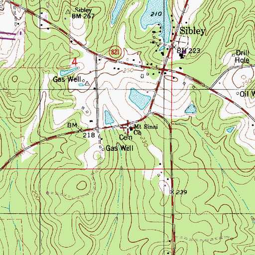 Topographic Map of Mount Sinai Church, LA