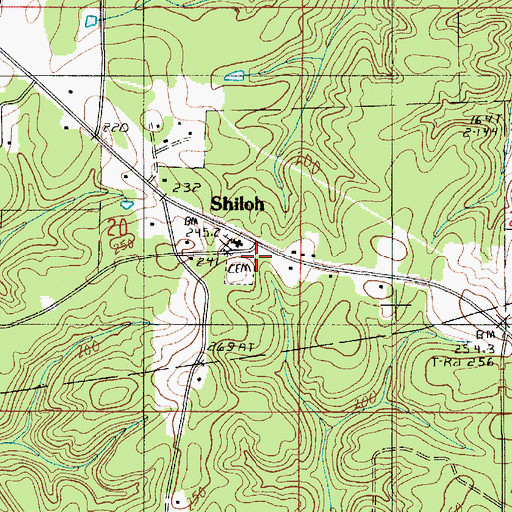 Topographic Map of Shiloh, LA
