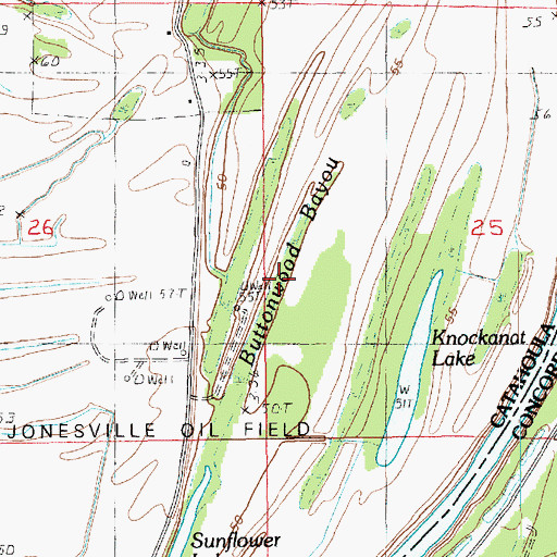 Topographic Map of Buttonwood Bayou, LA