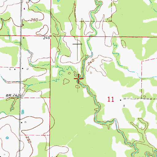 Topographic Map of Rodman Branch, AR