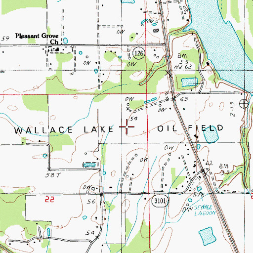 Topographic Map of Wallace Lake Oil Field, LA