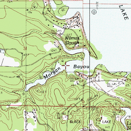 Topographic Map of Morgan Bayou, LA