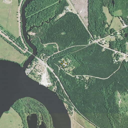 Aerial/Satellite Image of Saint Maurice Plantation, LA