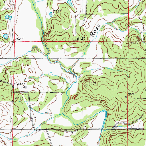 Topographic Map of Rose Branch, AR