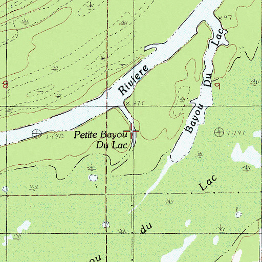 Topographic Map of Petite Bayou du Lac, LA