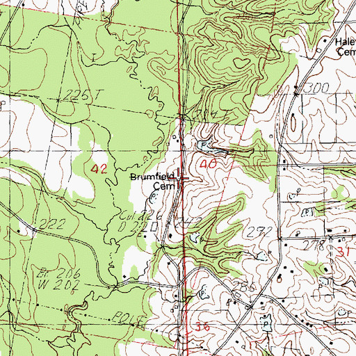 Topographic Map of Brumfield Cemetery, LA