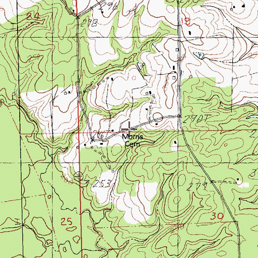 Topographic Map of Morris Cemetery, LA