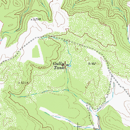 Topographic Map of Gully Tank, AZ